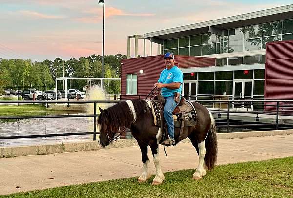lover-spotted-saddle-horse