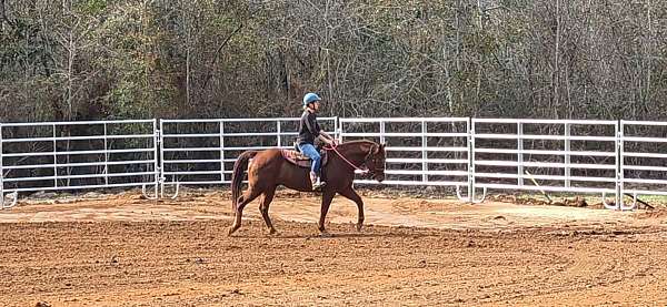 athletic-quarter-horse