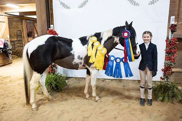 kid-pony-mare