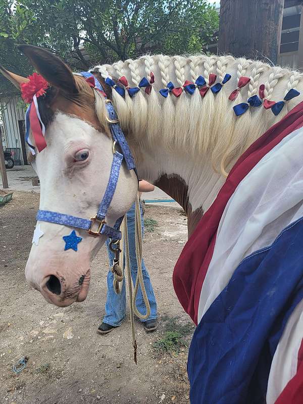 all-around-paint-pony
