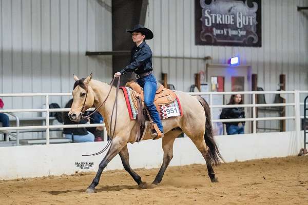 ranch-riding-prospect-quarter-horse