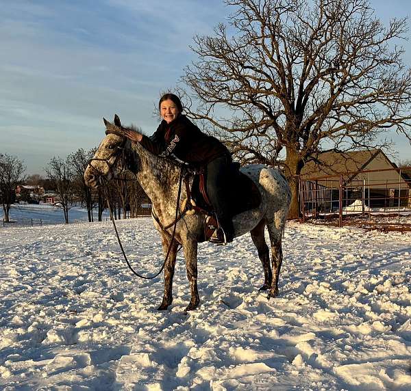 racehorse-poa-horse