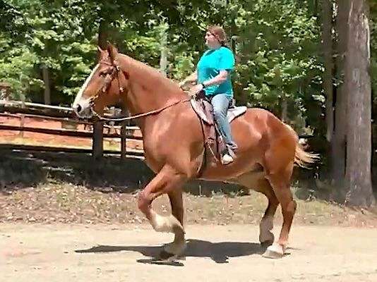 blaze-horse