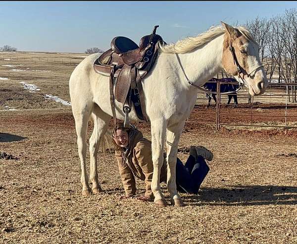 rode-pinto-horse