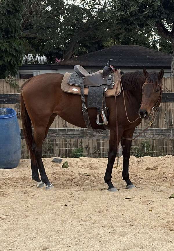 beginner-heading-mare