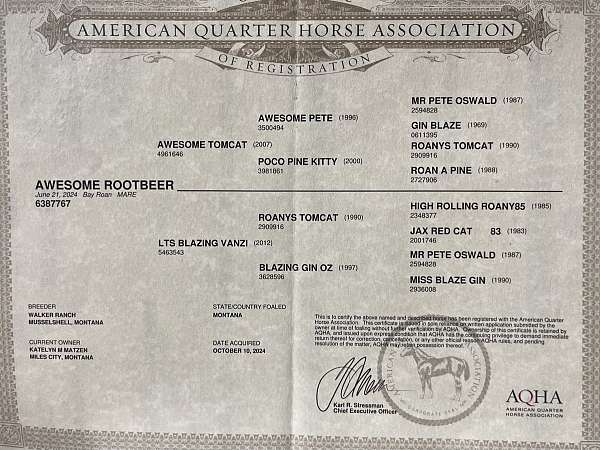2024-bay-roan-mare-quarter-horse