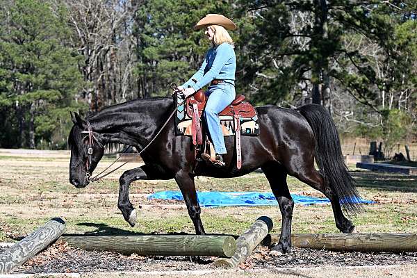 gentle-friesian-horse