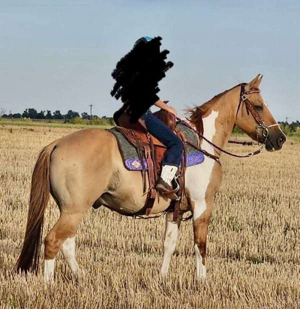 overo-barrel-pony