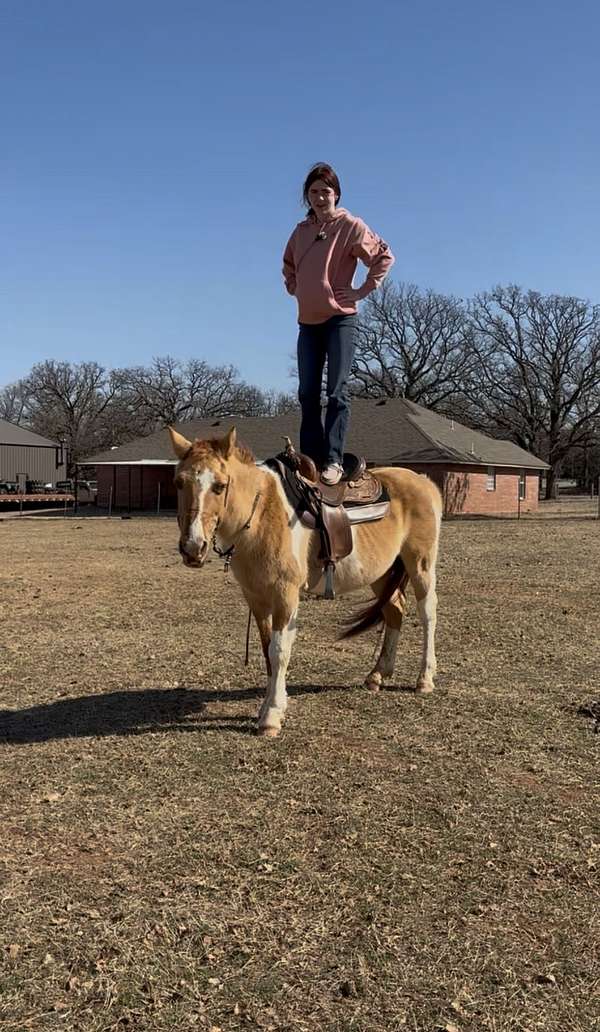 overo-cowboy-mounted-shooting-pony
