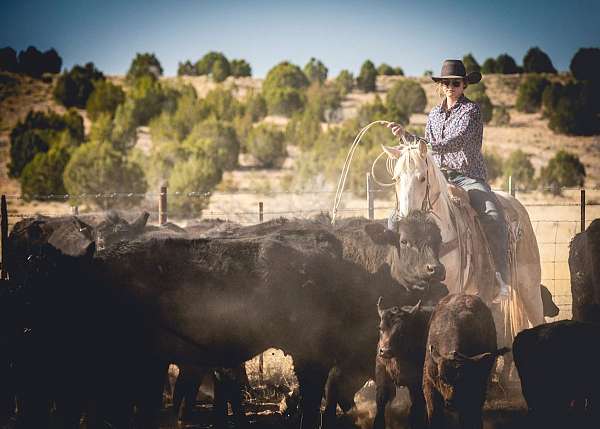 all-around-quarter-horse