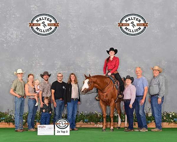 ranch-paint-horse
