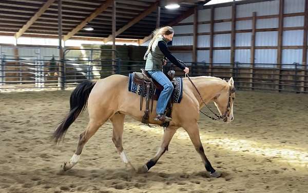 dunskin-reining-horse