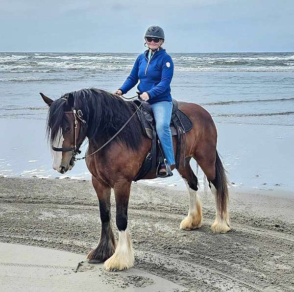 barrel-drum-horse