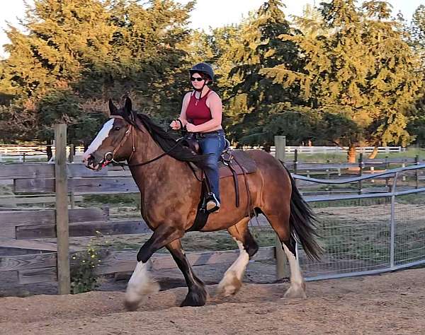 ranch-versatility-drum-horse
