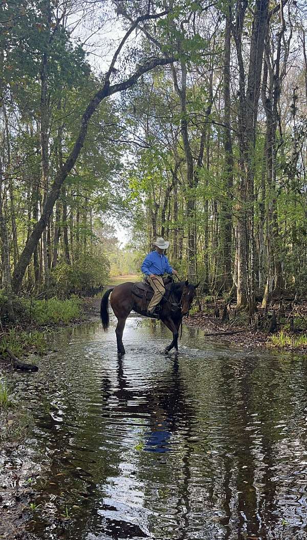 obstacle-filly