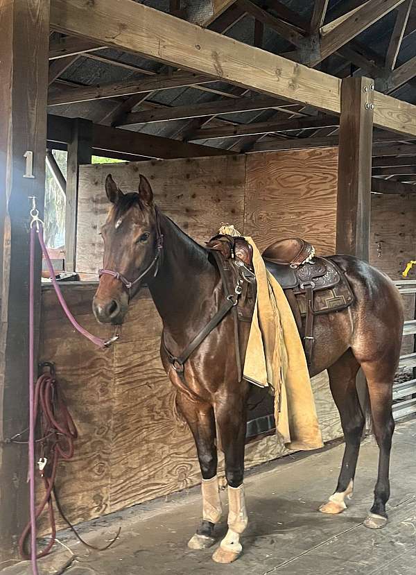perfect-filly