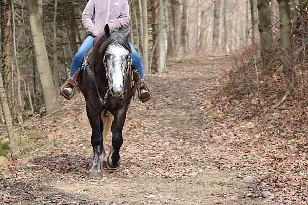 kid-safe-draft-horse