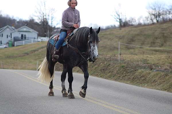 draft-cross-safe-horse
