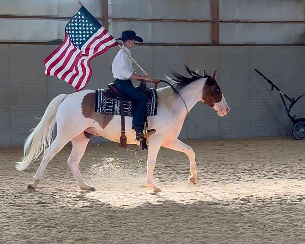 tobiano-dun-marking-pony