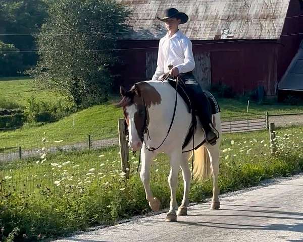 finished-ranch-pony-paint