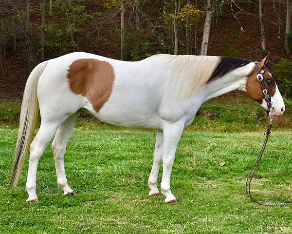 working-ranch-pony-paint