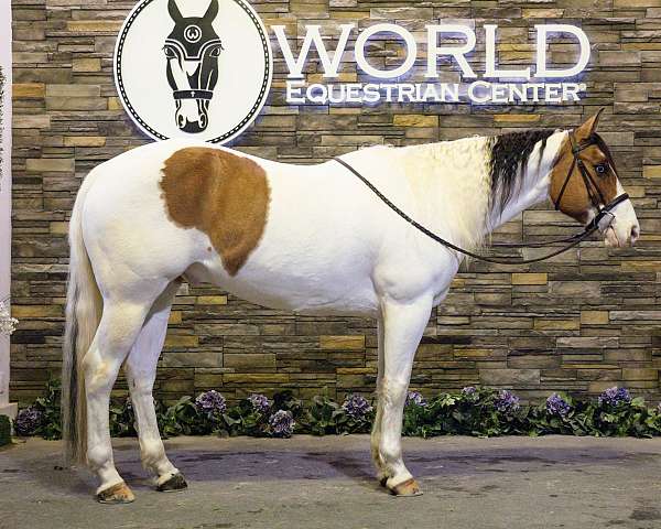 cow-pony-paint