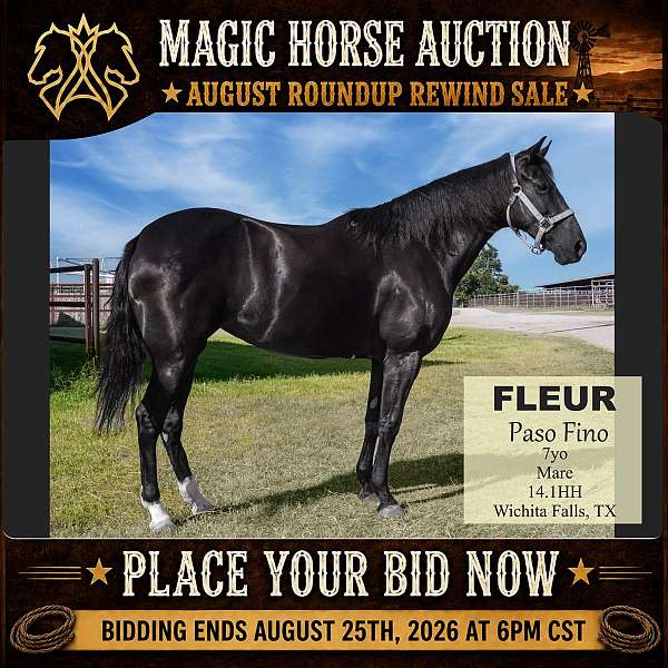 flemingsburg-horse