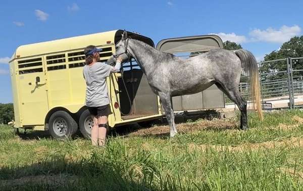 options-mare