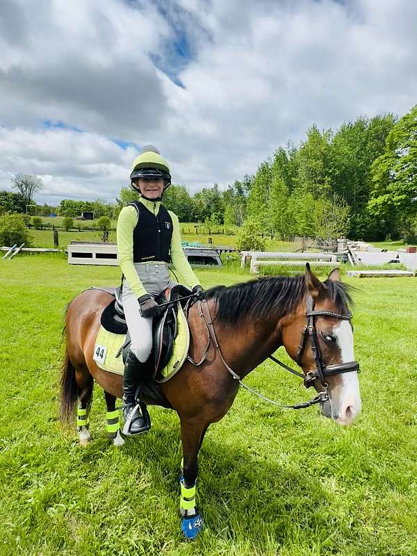 cross-pony