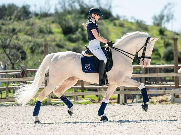 prix-san-george-stallion