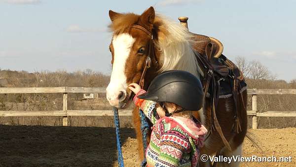 husband-safe-pony