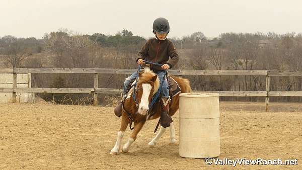 jumping-pony
