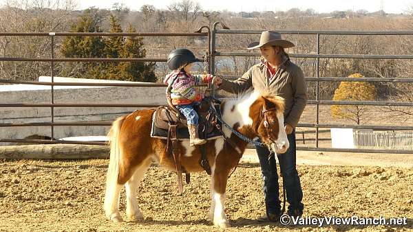 kid-safe-pony