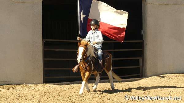 ridden-western-pony