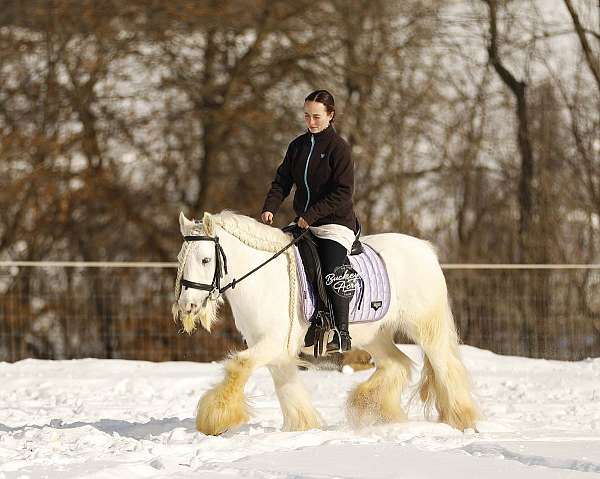 beginner-quarter-pony