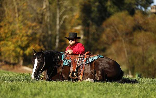 flashy-quarter-horse