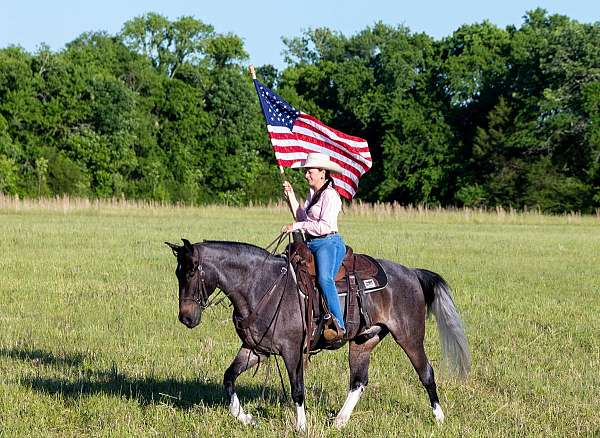twhbea-tennessee-walking-horse