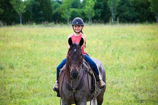 kid-friendly-horse-tennessee-walking