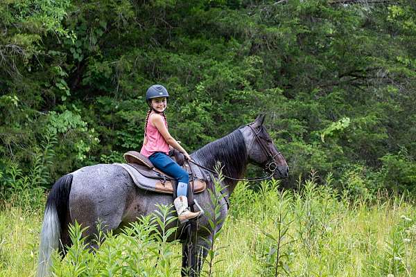 family-horse-tennessee-walking