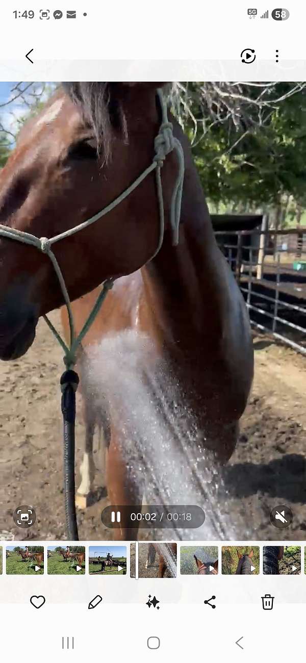 all-around-ranch