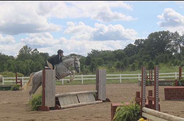 jumping-quarter-horse
