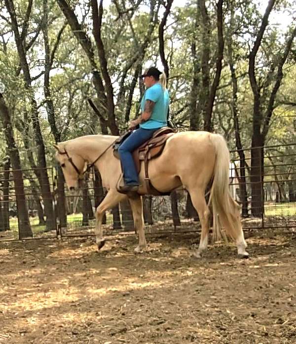 breeding-quarter-horse