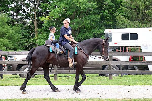 riding-friesian-pony