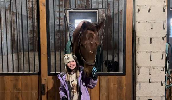 all-around-thoroughbred-horse