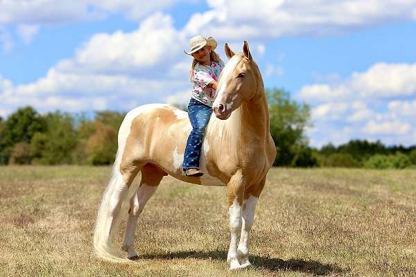 palomino-white-horse