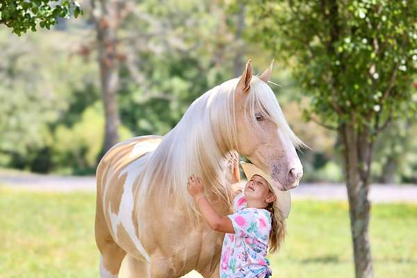 hunting-tennessee-walking-horse