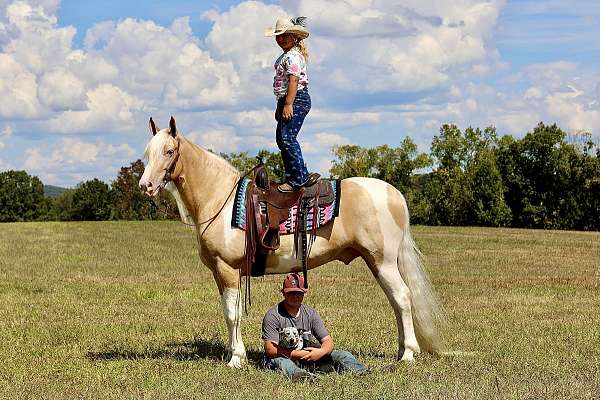 gun-safe-horse-tennessee-walking
