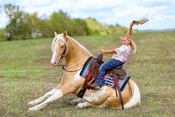 kid-friendly-horse-tennessee-walking