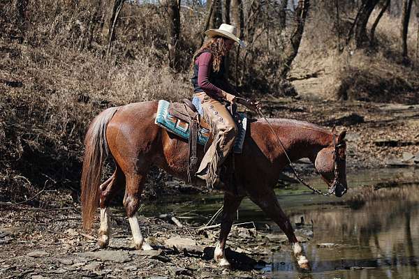 calf-roping-quarter-horse