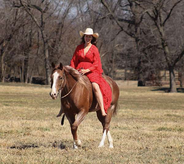 ranch-versatility-quarter-horse